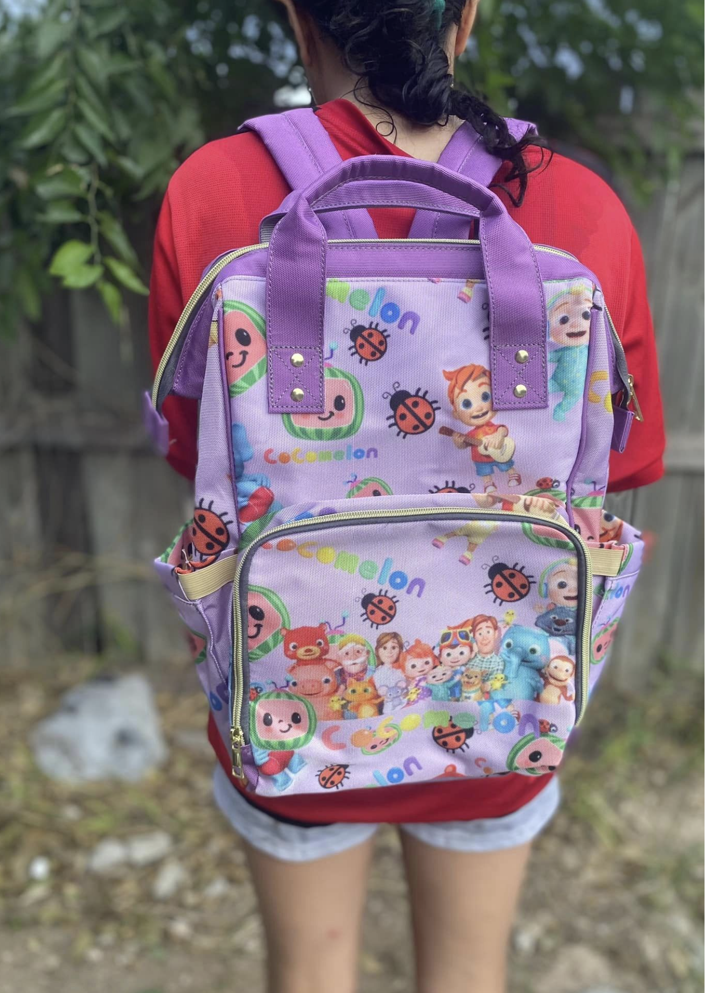 Multi-Function back pack/diaper bag