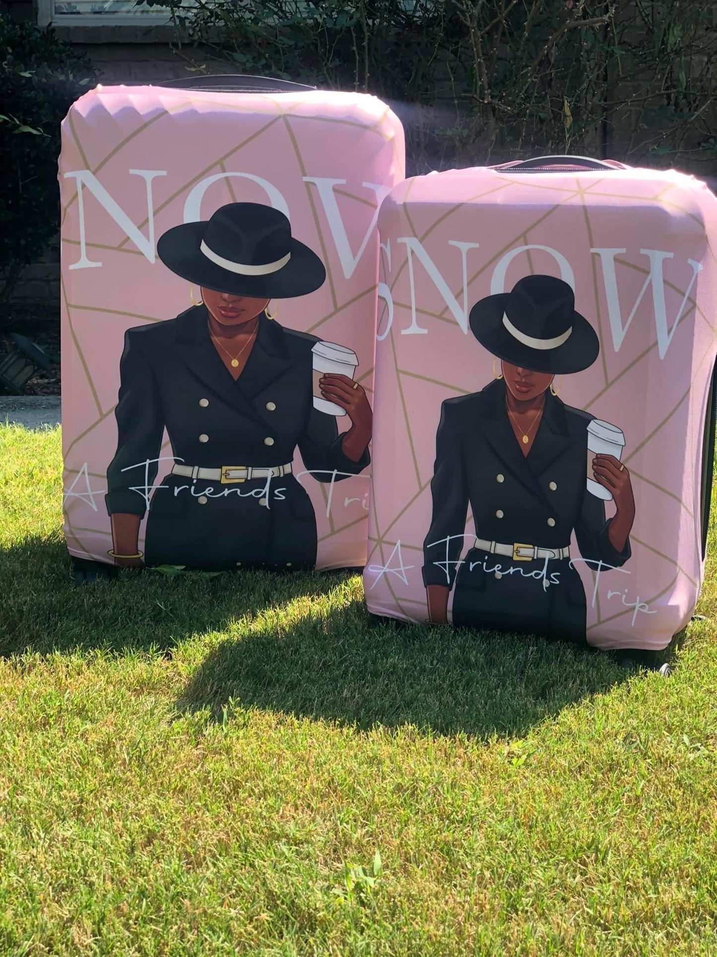 Luggage cover